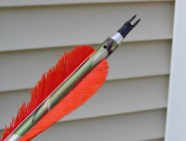 Bow%20and%20Arrow%20Tail